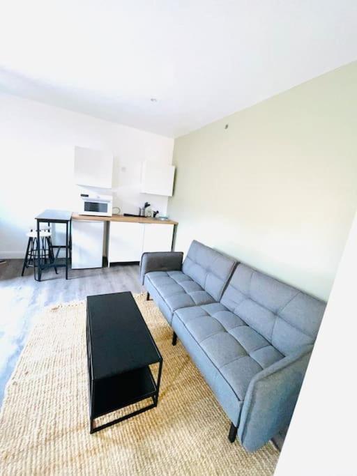 Apartamento Studio Tout Equipe Au Calme Et Chaleureux Saint-Etienne  Exterior foto