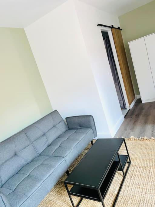 Apartamento Studio Tout Equipe Au Calme Et Chaleureux Saint-Etienne  Exterior foto